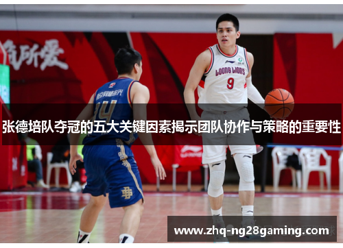 张德培队夺冠的五大关键因素揭示团队协作与策略的重要性