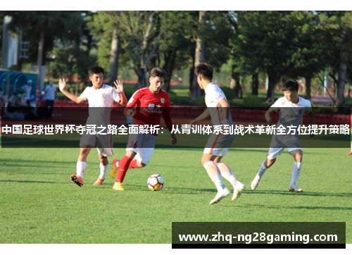 中国足球世界杯夺冠之路全面解析：从青训体系到战术革新全方位提升策略
