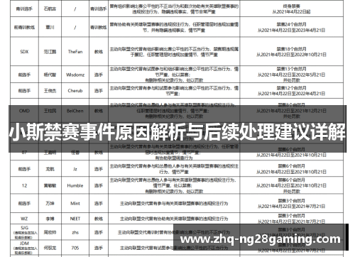 小斯禁赛事件原因解析与后续处理建议详解 小斯禁赛事件原因解析与后续处理建议详解