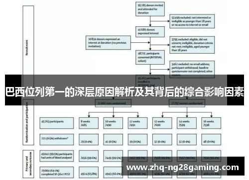 巴西位列第一的深层原因解析及其背后的综合影响因素