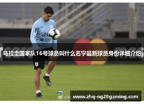 乌拉圭国家队16号球员叫什么名字最新球员身份详细介绍