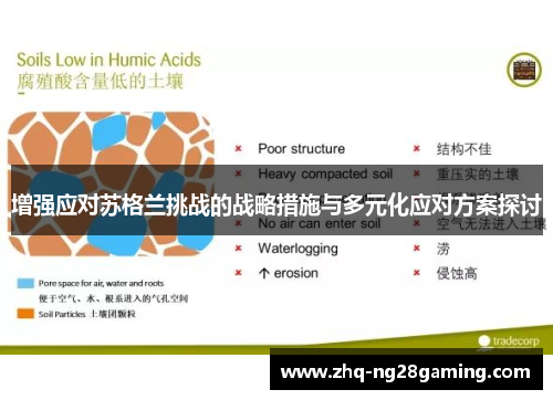 增强应对苏格兰挑战的战略措施与多元化应对方案探讨