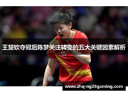 王楚钦夺冠后陈梦关注转变的五大关键因素解析