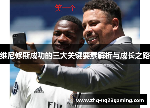 维尼修斯成功的三大关键要素解析与成长之路