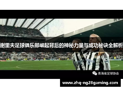 谢里夫足球俱乐部崛起背后的神秘力量与成功秘诀全解析