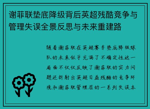 谢菲联垫底降级背后英超残酷竞争与管理失误全景反思与未来重建路 谢菲联垫底降级背后英超残酷竞争与管理失误全景反思与未来重建路